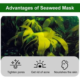 Natural Algae Seed Seaweed Mask for Whitening Peeling Mask Nano Pure Pearl Powder Shrink Pores Anti Acne Female Beauty Skin Care