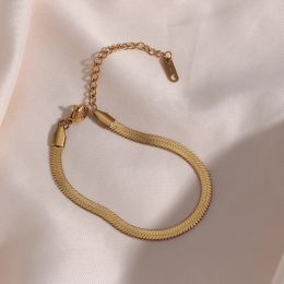 Tarnish aço livre de aço 18k Pulseiras de cadeia de cobra plana de ouro 18k Bulkets para mulheres Acessórias de correntes de aranho Acessórios de jóias Presente de joias