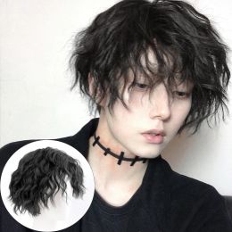 Wigs DIANQI Male's Wig Short Curly Black Synthetic Wigs With Bangs for Men Women Boy Fake Hair