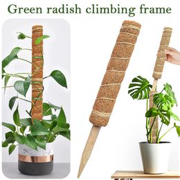 Plant Cages Supports Reusable Plant Climbing Stand Durable Flower Plants Support Holder for Balcony Garden Courtyard Easy to Use