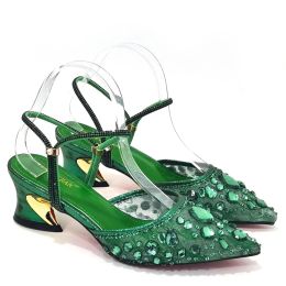 Venus Chan Pointed Toe Heels for Women Party Green Colour Full Diamond Lace Matching Design Italian Shoe and Bag Set Designer