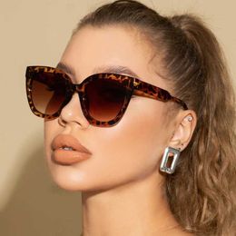 Sunglasses New Womens Cat Eye Retro Sunglasses Brand Designer Retro Gradient Sunglasses Womens Glasses Cateye Glasses J240330