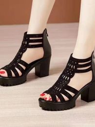 Casual Shoes Thick Heels Mom Sandals Women's 2024 Summer Soft Sole Elevated Roman Fashion Versatile Fish Mouth Hollow Cold