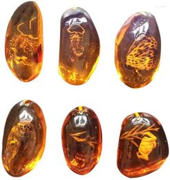 Decorative Figurines 5pcs Amber Fossil With Insects Samples Stones Crystal Specimens Home Decorations Collection Oval Pendant (Random