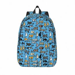 cat World Backpack Animal Aesthetic Backpacks Girl Travel Print High School Bags Colorful Rucksack K8GC#