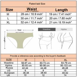 W01 Hot Sale Lingerie Ladies Briefs Transparent Lace Underwear Intimate Women's Sexy Panties