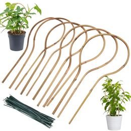 6PCS House Plant Trellis For Climbing Plants Garden Plant Support Stake Stand Vine Climbing Rack Indoor Outdoor Plant Trellis 240326