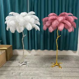 Nordic Luxury Living Room Floor Lamp Ostrich Feather LED Floor Lamp for Bedroom Sofa Corner Modern Gold Resin Indoor Floor Light