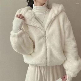 Women's Fur Korean Fashion Women Coat Luxury Zipper Loose Hoodies Over Thick Warm Female Plush Casual Coats