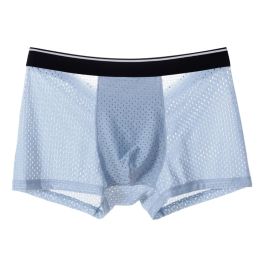 Men Ice Silk Underwear Mesh Sexy Breathable Boxer Shorts Transparent Briefs Bugle Pouch Panties Male See Through Trunk Sexy Pant