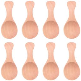 Teaware Sets 8Pcs Small Wooden Salt Spoon Solid Wood Condiments Handmade Honey Teaspoon Seasoning Sugar Coffee Tea Jam Mustard Ice C