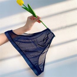 1/2 pcs Fully Transparent Sexy Men Underwear Ultra-thin Briefs Breathable Mesh Panties Plus Size XL-XXXL