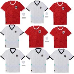 new Austria Comfortable to wear soccer Jerseys Home away 24 25 Austria Red blue white 2024 2025 Sports Football shirts Sportswear
