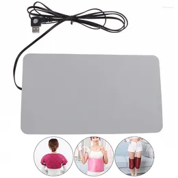 Carpets Silicone Heating Pad Graphene Waterproofing Soft Cushion Belt Clothes Warmer Pads Keep Warm Accessory Pet Warmth