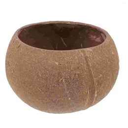 Bowls Coconut Shell Bowl Holder Handmade