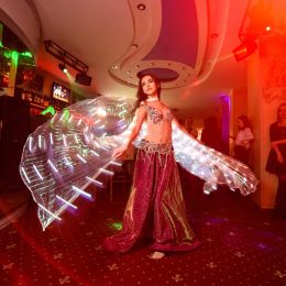 LED Dance Fairy Wings Colorful Butterfly Belly Dancing Costume Easter Christmas Halloween Oriental Belly Dance Wings Lights Lamp