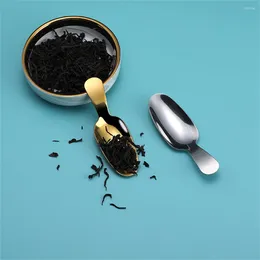 Tea Scoops Ice Cream Spoon Fashion Convenient Kitchen Innovation Mini Function Small Stainless Steel Spice Accessories Coffee