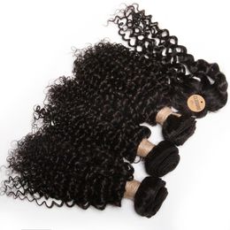 Ombre Human Hair Bundles With Closure Brazilian Kinky Curly Bundles with Closure 3+1 Curly Hair Bundles And Circle Closure