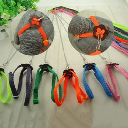 Other Bird Supplies Let's Pet Colorful Parrot Leash Outdoor Adjustable Harness Training Rope Flying Cross Band Toys