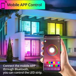 12V 5050 RGB LED Strip Lights Music Sync Bluetooth APP Control Flexible RGB Tape 5m 10m 15m for Room Decor Ambient Backlight