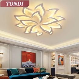 Luzes nórdicas de teto moderno e moderno para sala de jantar da sala de estar com luzes de controle de controle remoto iluminação interna