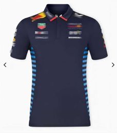 F1 Racing T-shirt Fãs Jersey Fórmula 1 Equipe Polo Camisas Roupas Verão Homens Mulheres Esporte Camisetas de Secagem Rápida