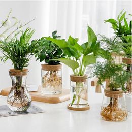 Vases Glass Bottle With Wooden Stopper Micro Landscape Ecological Round Flower Vase Hydroponic Container