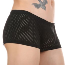 CLEVER-MENMODE Sexy Men Mesh Sheer Boxer Penis Pouch Underwear Lingerie Hollow Underpants See Through Panties Boxershorts