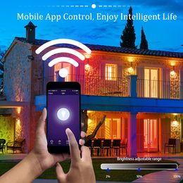 Tuya WiFi Smart LED Floodlight Reflector 220V 30W 50W 100W RGB Dimmable Spotlight Outdoor Lighting Work with Alexa Google Home