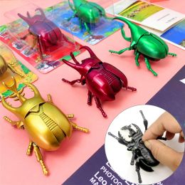 Klassische Uhrwerk Spielzeug realistische Insektenfiguren Käfer Modell Spielzeug Tierspielzeug landen Käfer Spielzeug lustige Geburtstagsurlaubsgeschenk