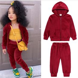 Moda çocuk giyim setleri kız çocuk hoodies sweatshirts toddler bebek pleuche katlar üstleri +pantolon 2pcs takım elbise çocuk pist kıyafeti