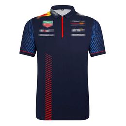 F1 Racing T-shirt Fans Jersey Formula 1 Team Polo shirts F1 Clothing Summer Men Women Sport Quick Dry T-shirts Plus Size