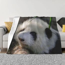 Blankets Huahua Panda Animal Blanket Warm Cosy Anti-pilling Flannel Throw For Durable Long-Lasting Travel