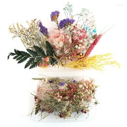 Decorative Flowers 1Box Real Dried Flower Handmade Candle Making Wax Piece Necklace Jewelry Craft DIY Material Accessories