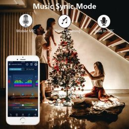 Christmas Lights Dream Color LED String Lighting WS2812B Addressable Individually RGB LED Module USB Music Controller DC5V