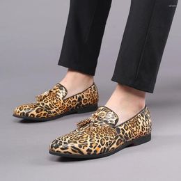 Dress Shoes Designer Men Leather Loafers Leopard Coiffeur Italian Casual Zapatos De Hombre Vestir Formal