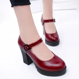 Dress Shoes 2024 Trend Ladies Mary Janes Women's High Heels Platform Office Pump Women Buckle Strap Round Toe Chunky Heel