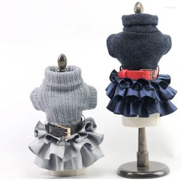 Dog Apparel Pet Fashion Autumn Winter Cotton Clothes Wedding Sweet Princess Dresses For Small Dogs DC7109