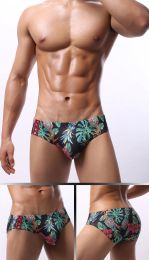 3D U Convex Pouch Briefs For Mens Sexy Low Waist Male Print Mesh Breathable Bulge Panties Summer Beach Bikini Hot Gays Underwear