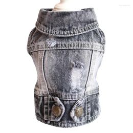 Dog Apparel Pet Clothing Teddy Spring/summer 2024 Distressed Denim Vest Puppy Clothes