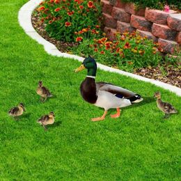 Garden Decorations Poultry Insert Sign Adorable Yard Long Lasting Land Duck Stakes Animal Yards Art