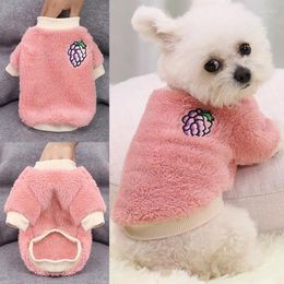 Dog Apparel Pet Clothes Cat Jackets Autumn Winter Warm Sweatshirt Fruit Printed Soft Coat Candy Colour Clothing Costumes Supplies