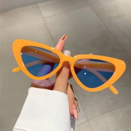 KAMMPT Vintage Cat Eye Sunglasses 2023 New Stylish Candy Color Triangle Shades Trendy Retro Women Original Brand Design Eyewear