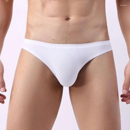 Underpants Sexy Men Underwear Summer Sports Traceless Calcinha Ice Silk Cool Cueca Mesh One Piece Sissy Calzoncillos Hombre Boxers & Briefs