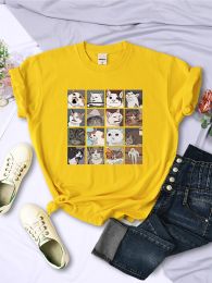 Animal Dog Cat Printing Women Tee Shirts Trendy Summer Clothing Harajuku Sport Style Tops Multicolor Casual Female T-Shirt