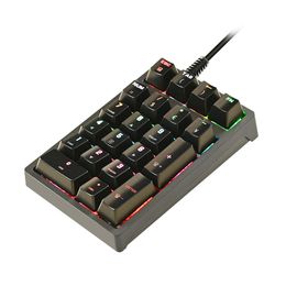 Portable 21 Keys Numeric Keypad RGB Backlight Ergonomic Mini Digital Accounting Keyboard Laptop Number Pad USB Wired Numpad