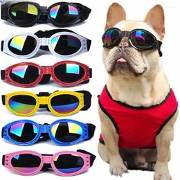 Dog Apparel Fold Pet Glasses Prevent UV For Cats Adjustable Goggles Po Prop Accessories Supplies