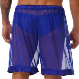 Mens Transparent Briefs See-through Mesh Loose Boxers Shorts Panties Lingerie Underwear Underpants Clubwear Nightwear Swimwear