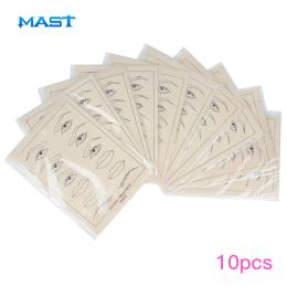 Machine 10 Pcs/lot Tattoo Practise Skin for Makeup Permanent Skin Eyebrow and Lip Hine Pen Supply