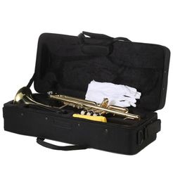 New Beginner Paint Gold Drop B Adjustable Bb Trumpet With Mouthpiece Case Kit for Student School Band Golden2649487